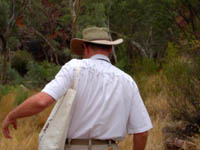 Bob Hull's back covered with flies at Serpentine Gorge