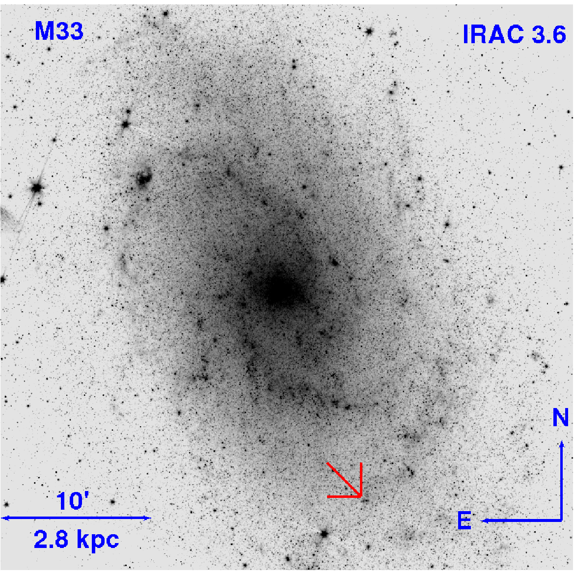 M33