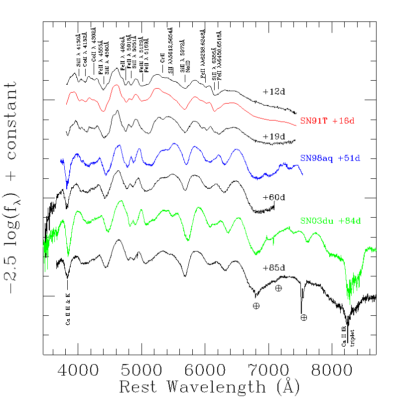 Spect Comparison