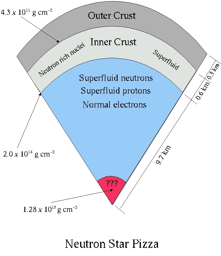 Schematic depiction of 
the interior structure of a neutron star