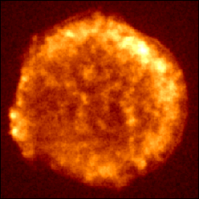 Supernova remnant Tycho - ROSAT