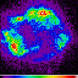 Simulated image of Cas A based on Chandra image