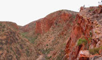 View from top of Serpentine Gorge