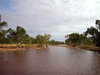 Water in the Todd River