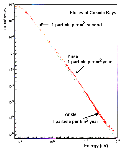 Knee graph