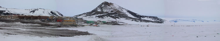 McMurdo and seals