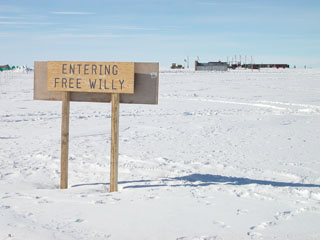 Free Willy Sign