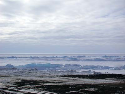 Pressure Ridges in the Ice Shelf