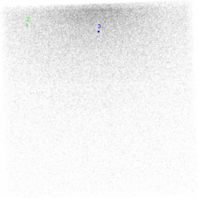 ccd6 smooth0 image
