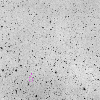 Skyview survey image