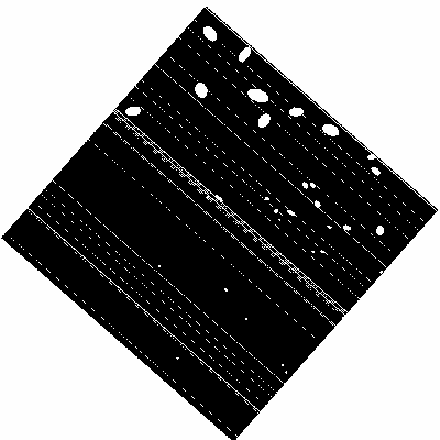 Background mask