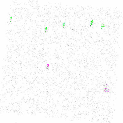 ccd6 smooth0cl image