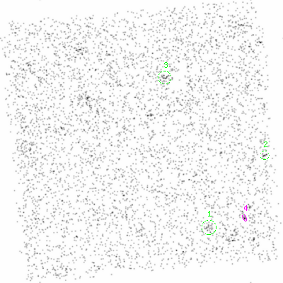 ccd3 smooth0cl image