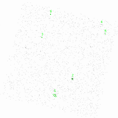 ccd6 smooth0 image