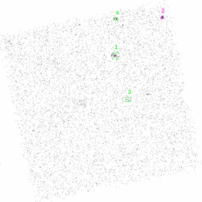 ccd3 smooth0 image