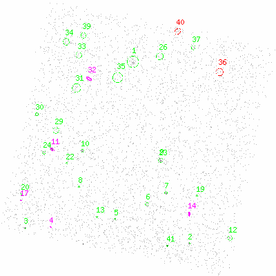 ccd6 fullimage image