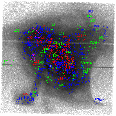 ccd7 fullimage image