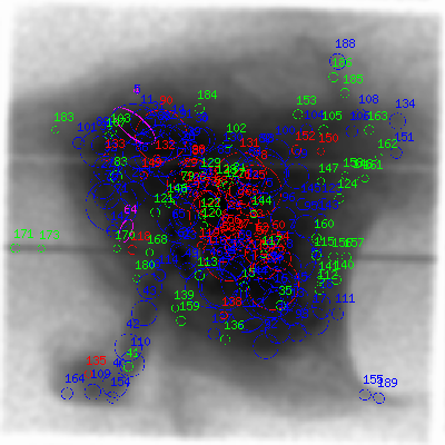 ccd7 smooth0 image