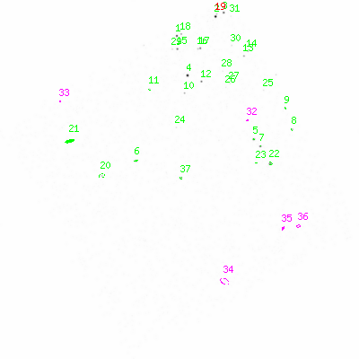 ccd3 smooth0 image