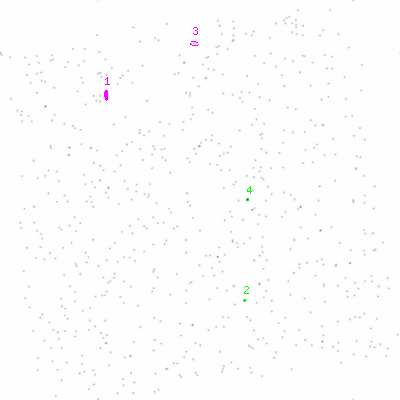 ccd3 smooth0 image