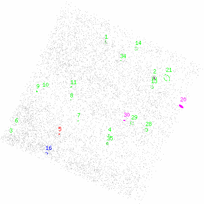 ccd3 fullimage image