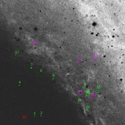 Skyview survey image