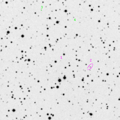 Skyview survey image