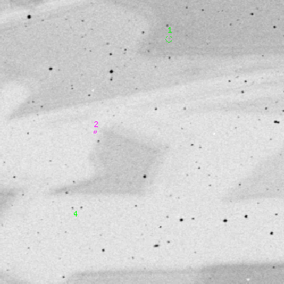 Skyview survey image