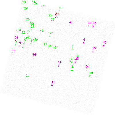 ccd3 smooth0 image