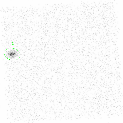 ccd6 smooth0cl image