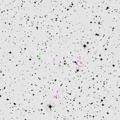 Skyview survey image