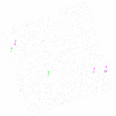 ccd1 smooth0cl image