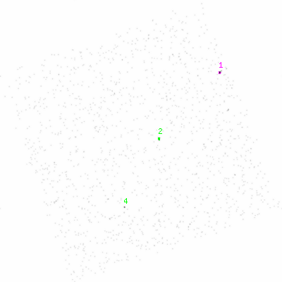 ccd3 smooth0 image