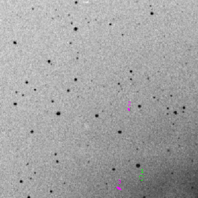 Skyview survey image