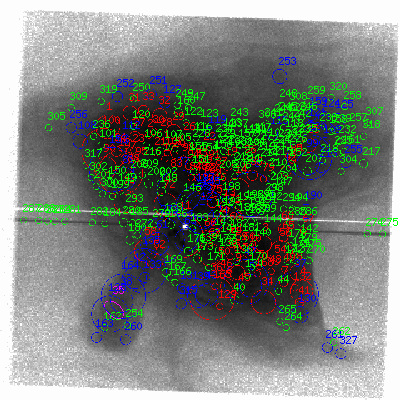 ccd7 fullimage image