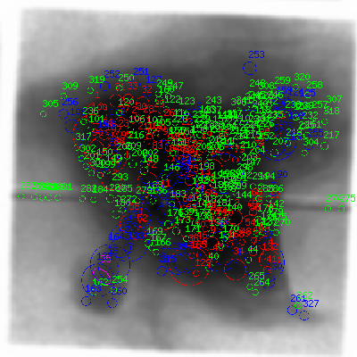 ccd7 smooth0 image