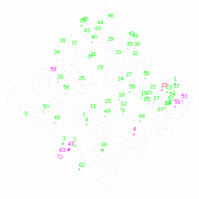 ccd3 fullimage image