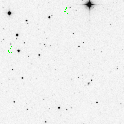 Skyview survey image