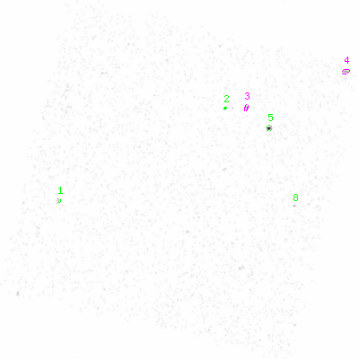 ccd3 smooth0 image