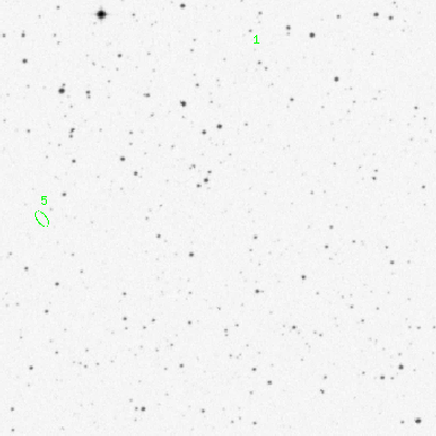 Skyview survey image