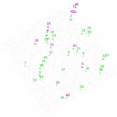 ccd3 fullimage image