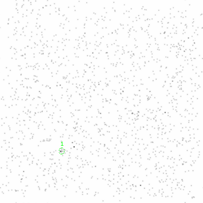 ccd3 smooth0cl image