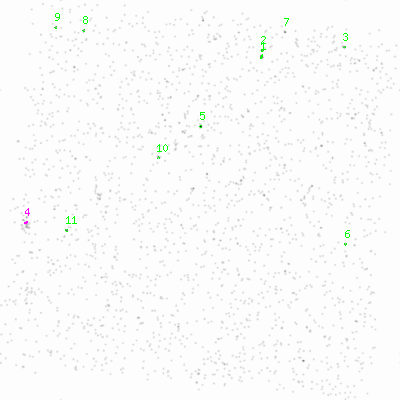 ccd6 smooth0cl image