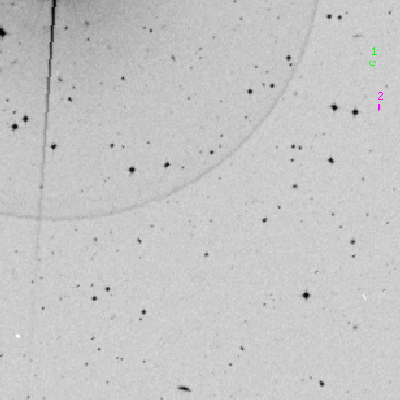 Skyview survey image