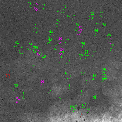 Skyview survey image