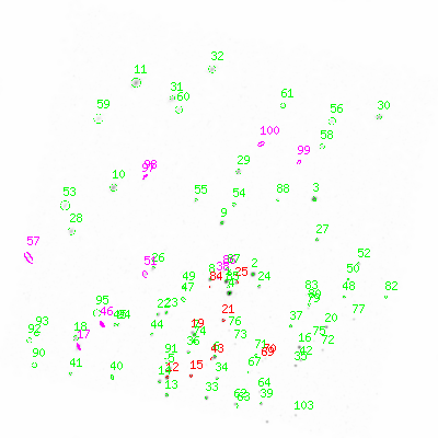 ccd3 smooth0 image