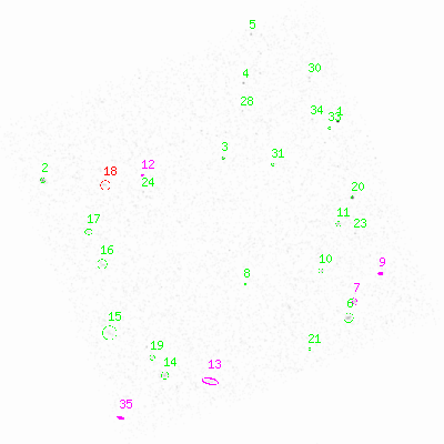 ccd3 smooth0 image