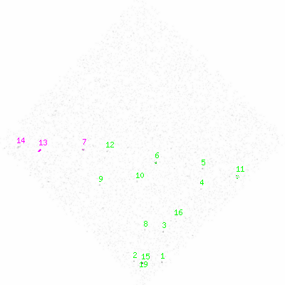 ccd3 smooth0 image