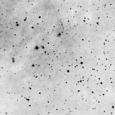 Skyview survey image