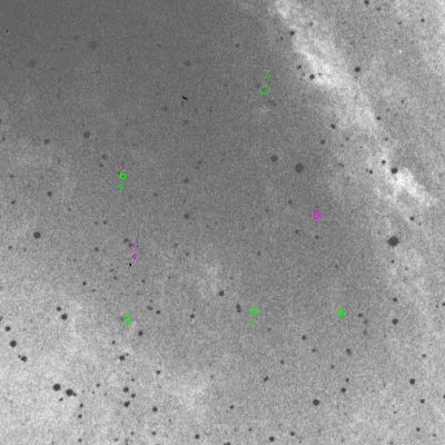 Skyview survey image